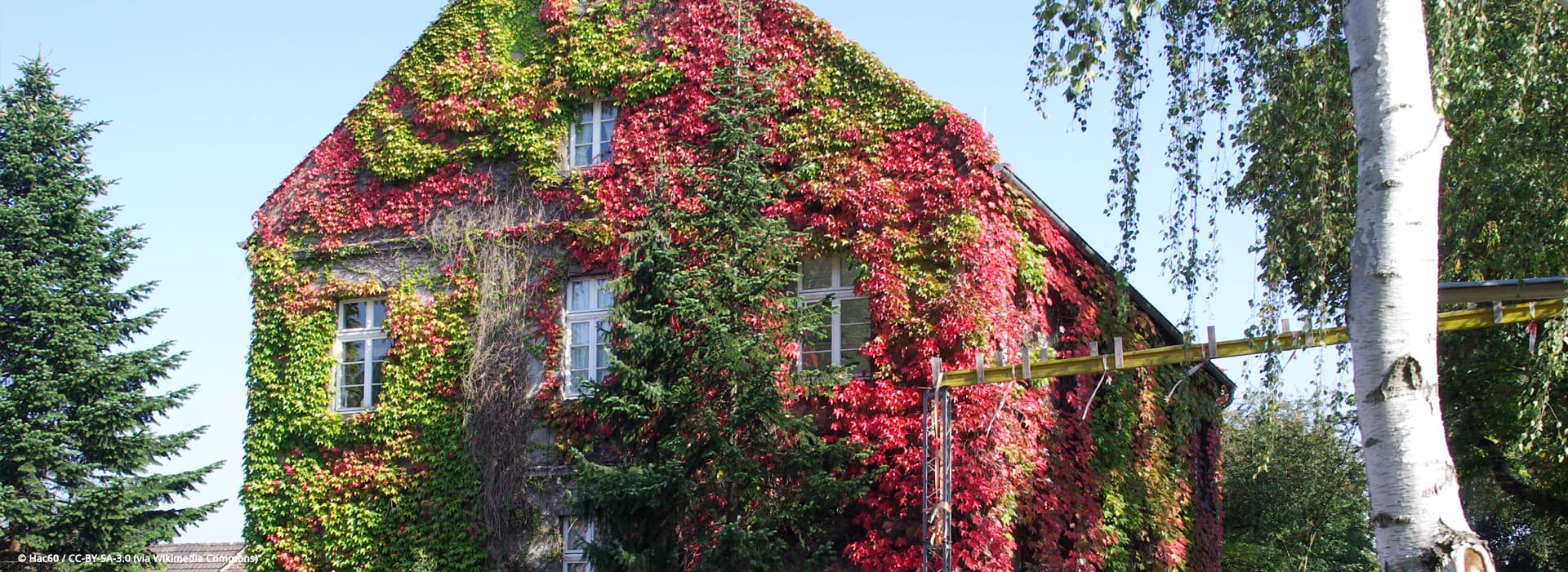 Immobilienmakler Köln Höhenhaus