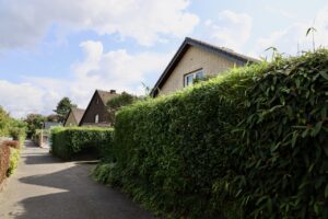 Einfamilienhaus Frechen, Immobilie Blumensiedlung